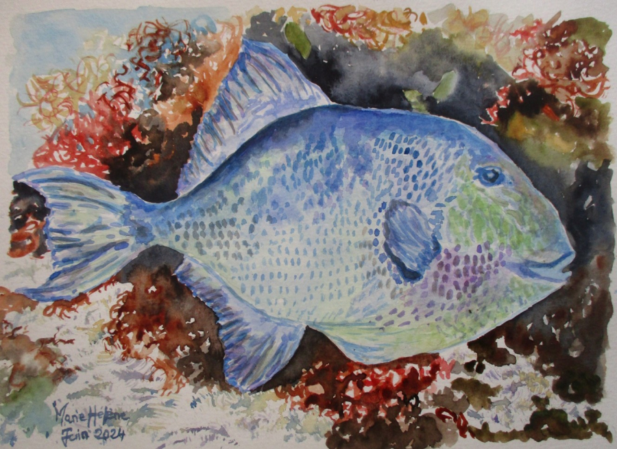 Heureux comme un poisson dans l'eau